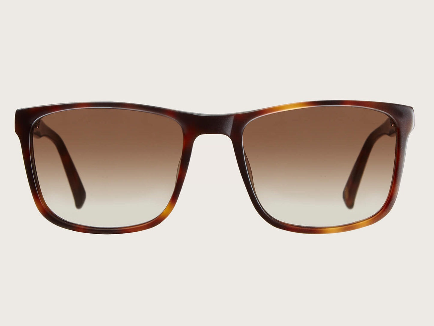 YMC X Bridges & Brows Matti Tortoiseshell Sunglasses