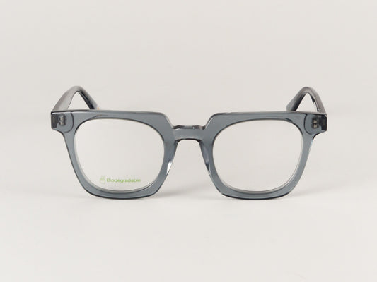 Waiting for the Sun Billy E4 Grey Glasses